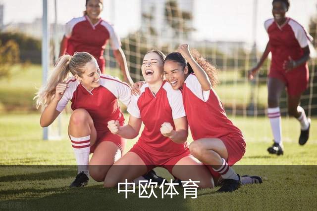 中欧体育公司简介